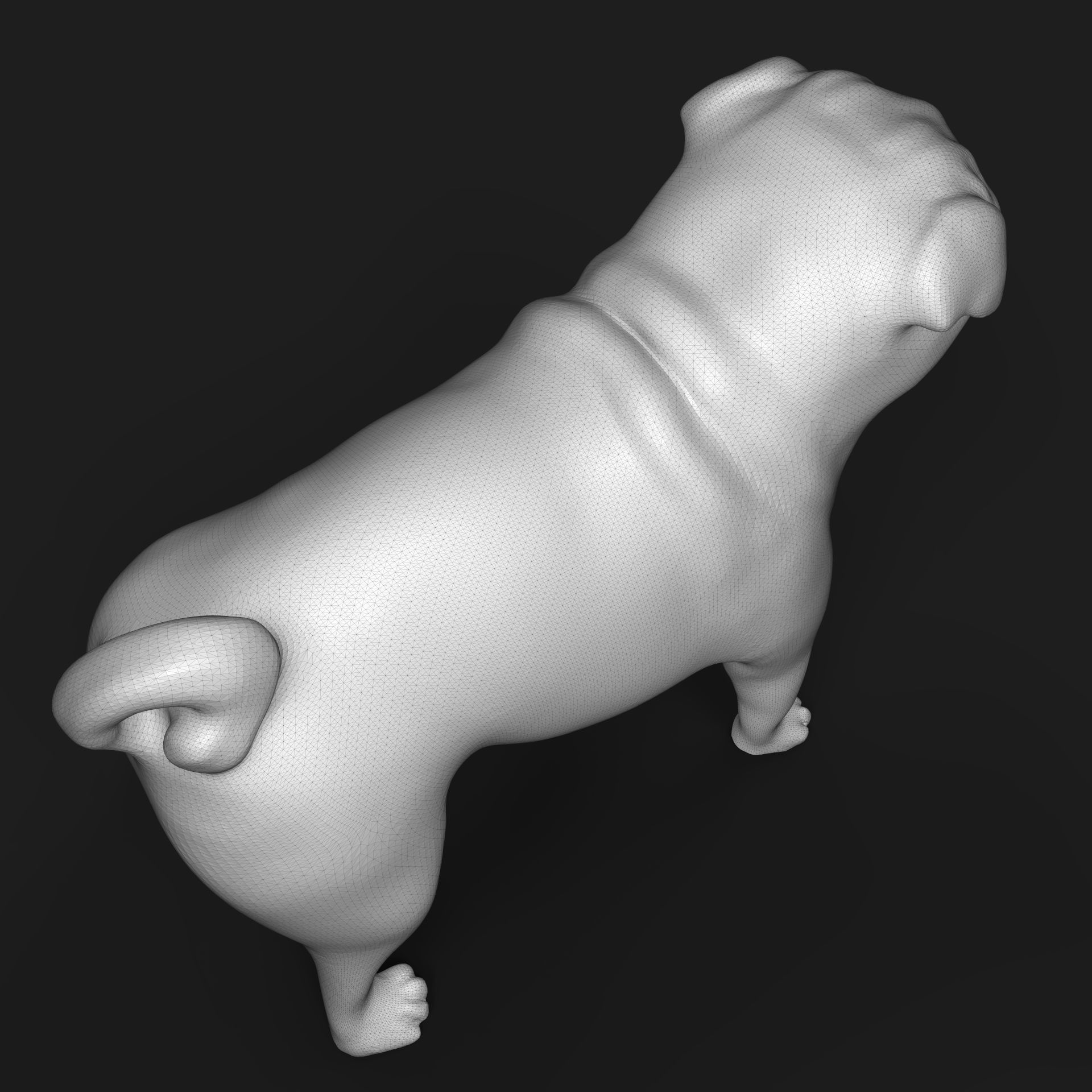 Pug dog 3D print model_6