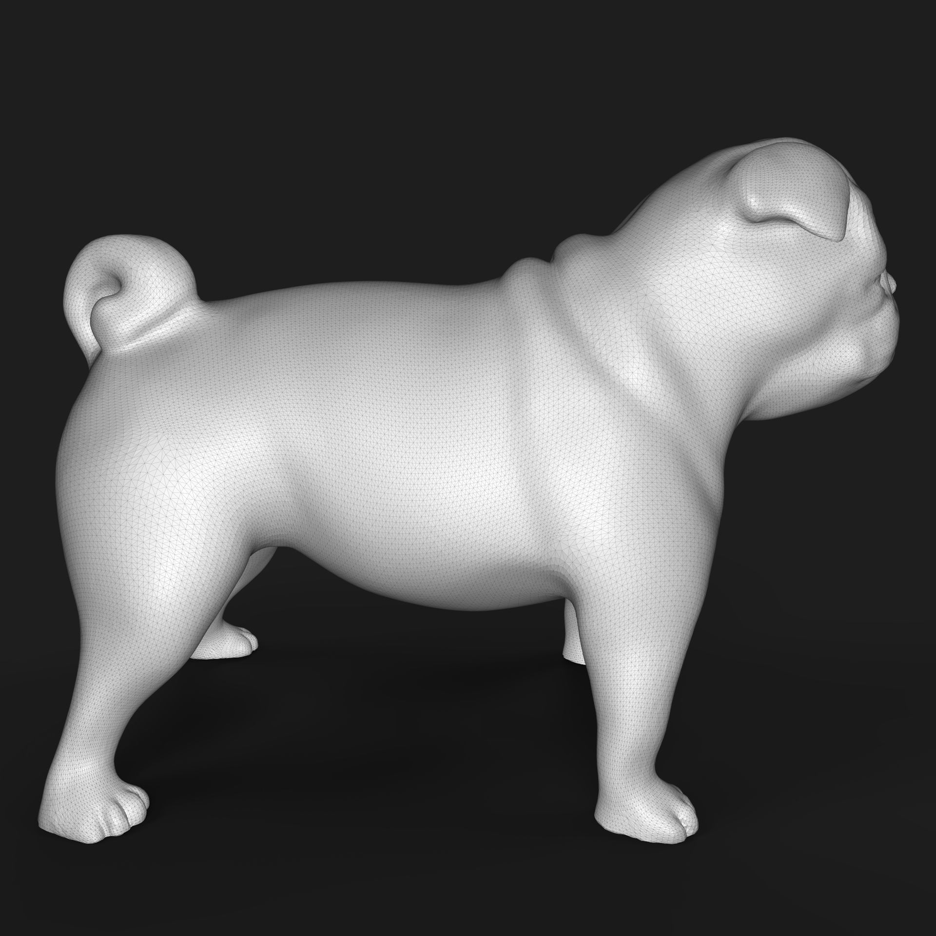 Pug dog 3D print model_5