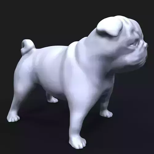 Pug dog 3D print model Pug dog 3D print model