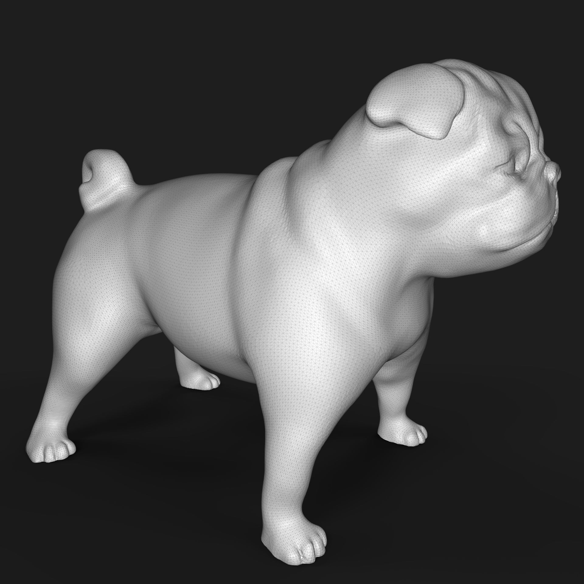 Pug dog 3D print model_4