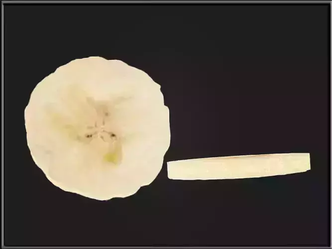 A Slice of Banana 