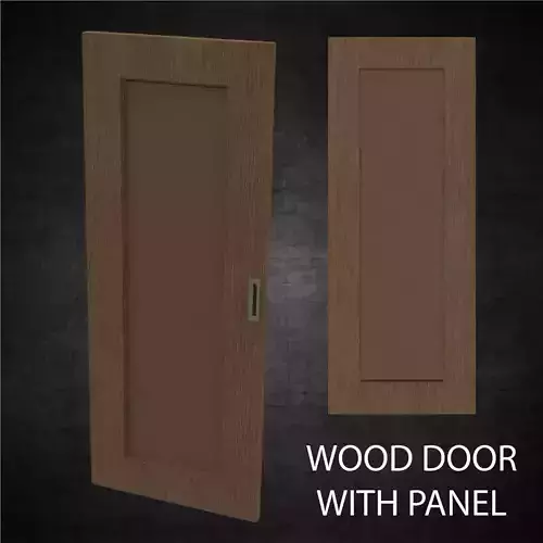 Modern wood door for pocket or swing opening