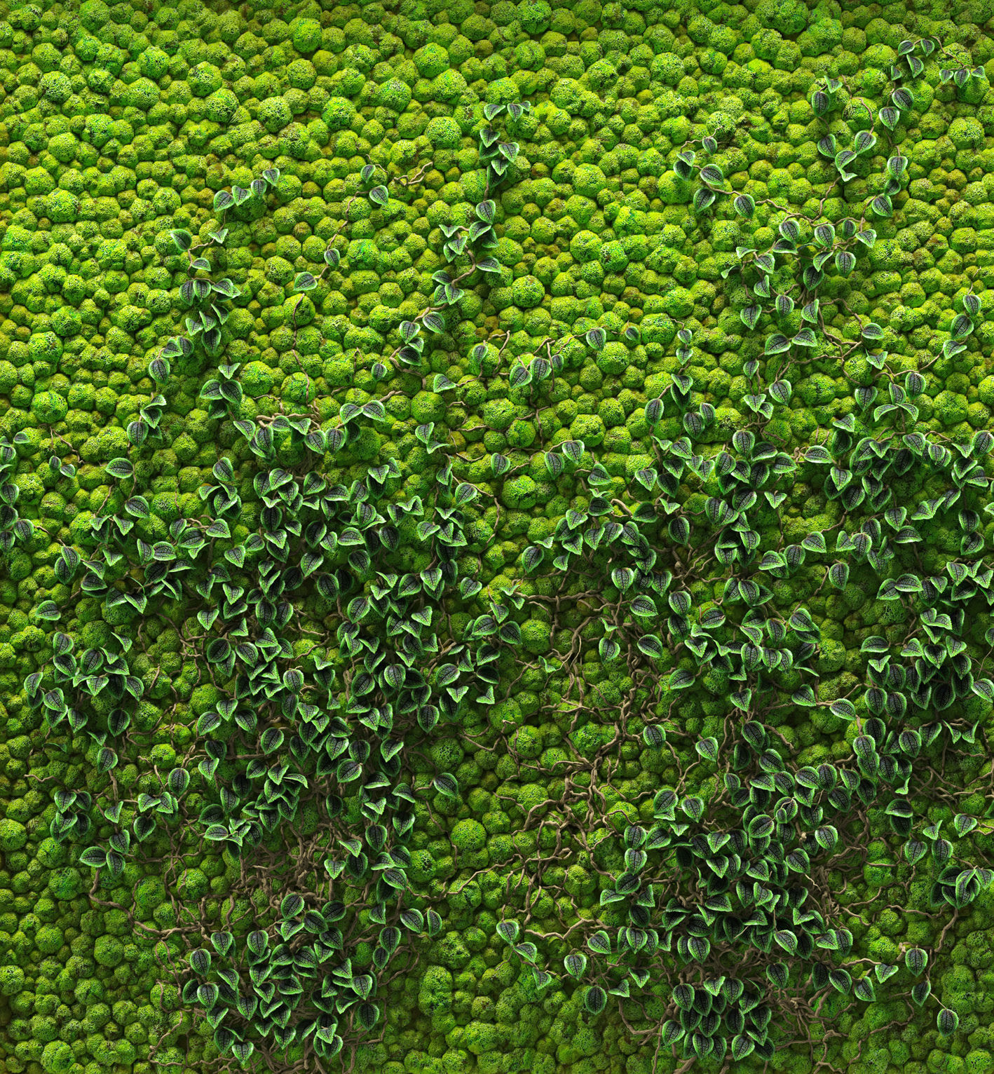Fytowall moss wall 3D model_1