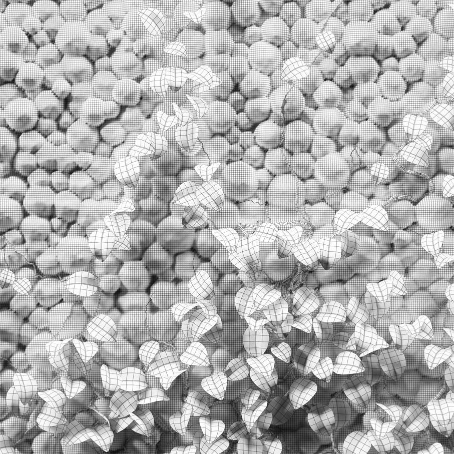 Fytowall moss wall 3D model_3