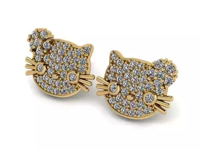 Earrings T00592