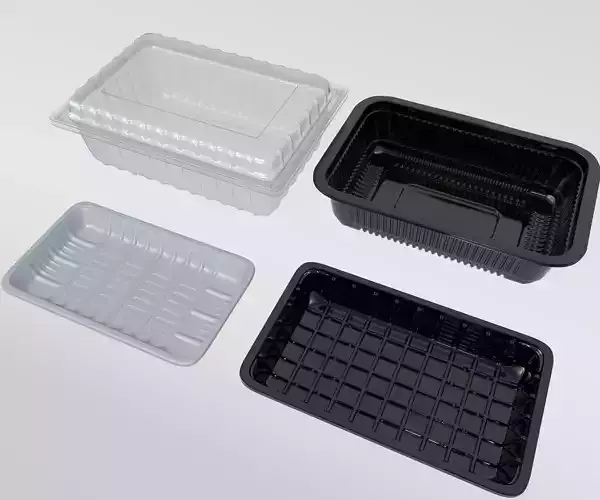 Transparent Plastic Food Container