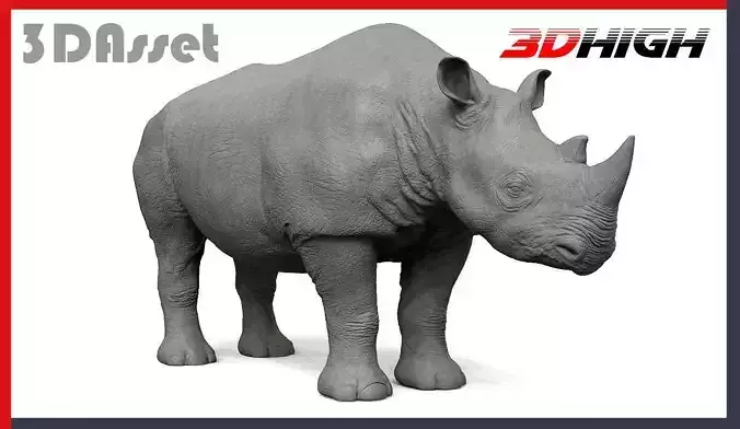 High Res Rhino 3D model