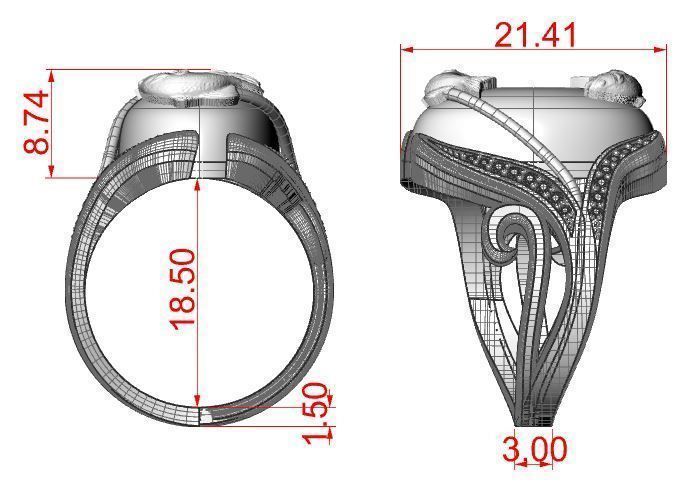 Ring fish 3D print model_11