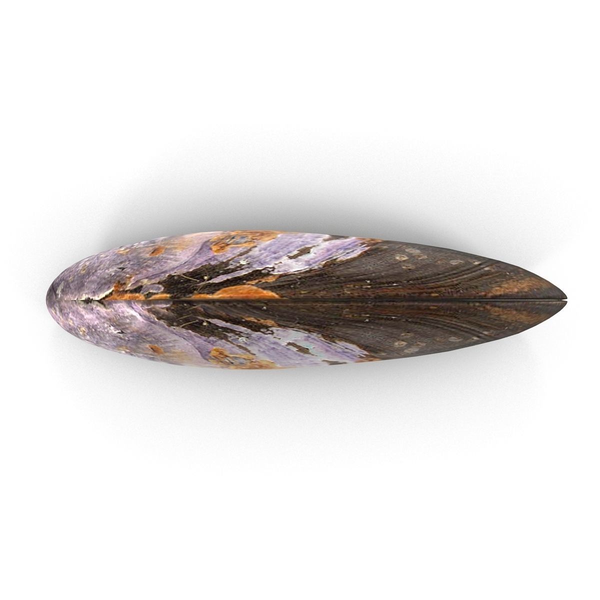 Mussel 1 clam shell 3D model_5