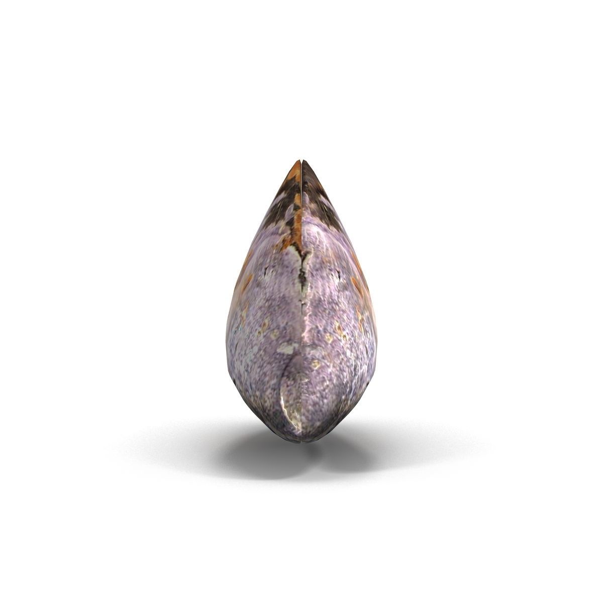 Mussel 1 clam shell 3D model_7