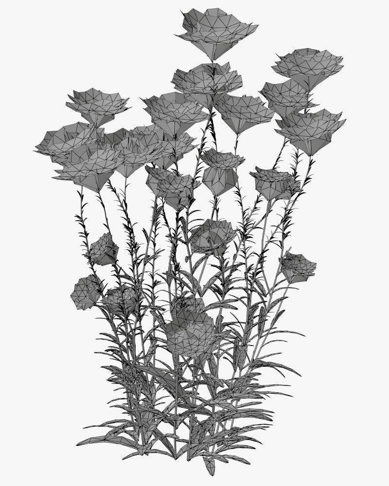 Cornflower Flower 3D Low-poly 3D model_3