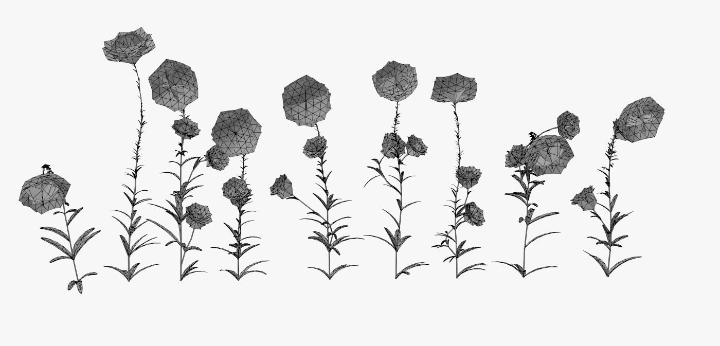 Cornflower Flower 3D Low-poly 3D model_5