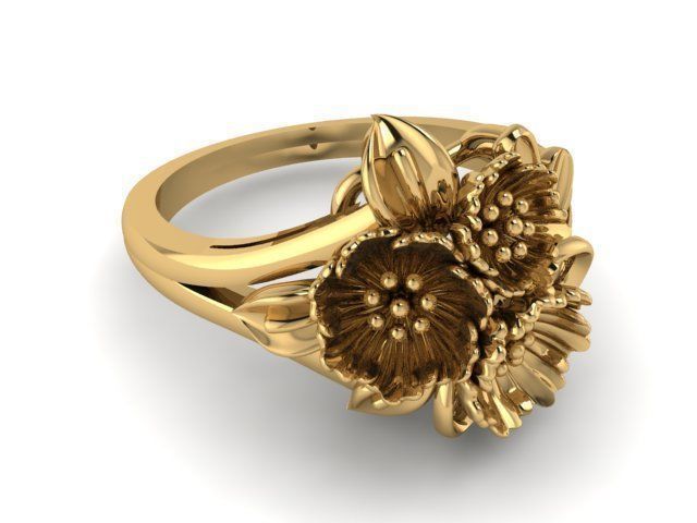 Ring T00604 3D print model