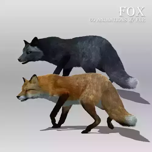 Red and Black Fox Animated with Fur 3D model