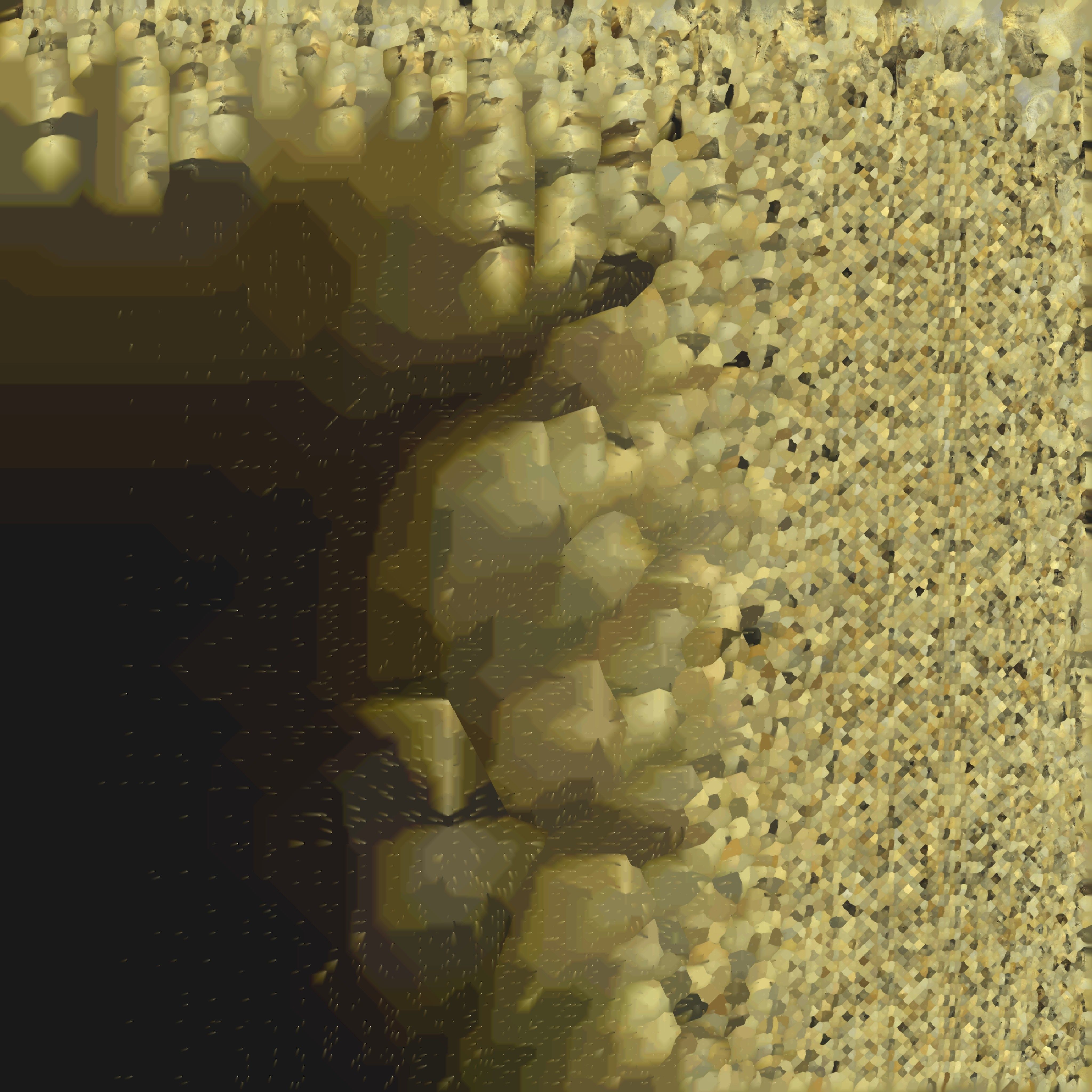 Duck Skull Scan 3D model 3D model_6