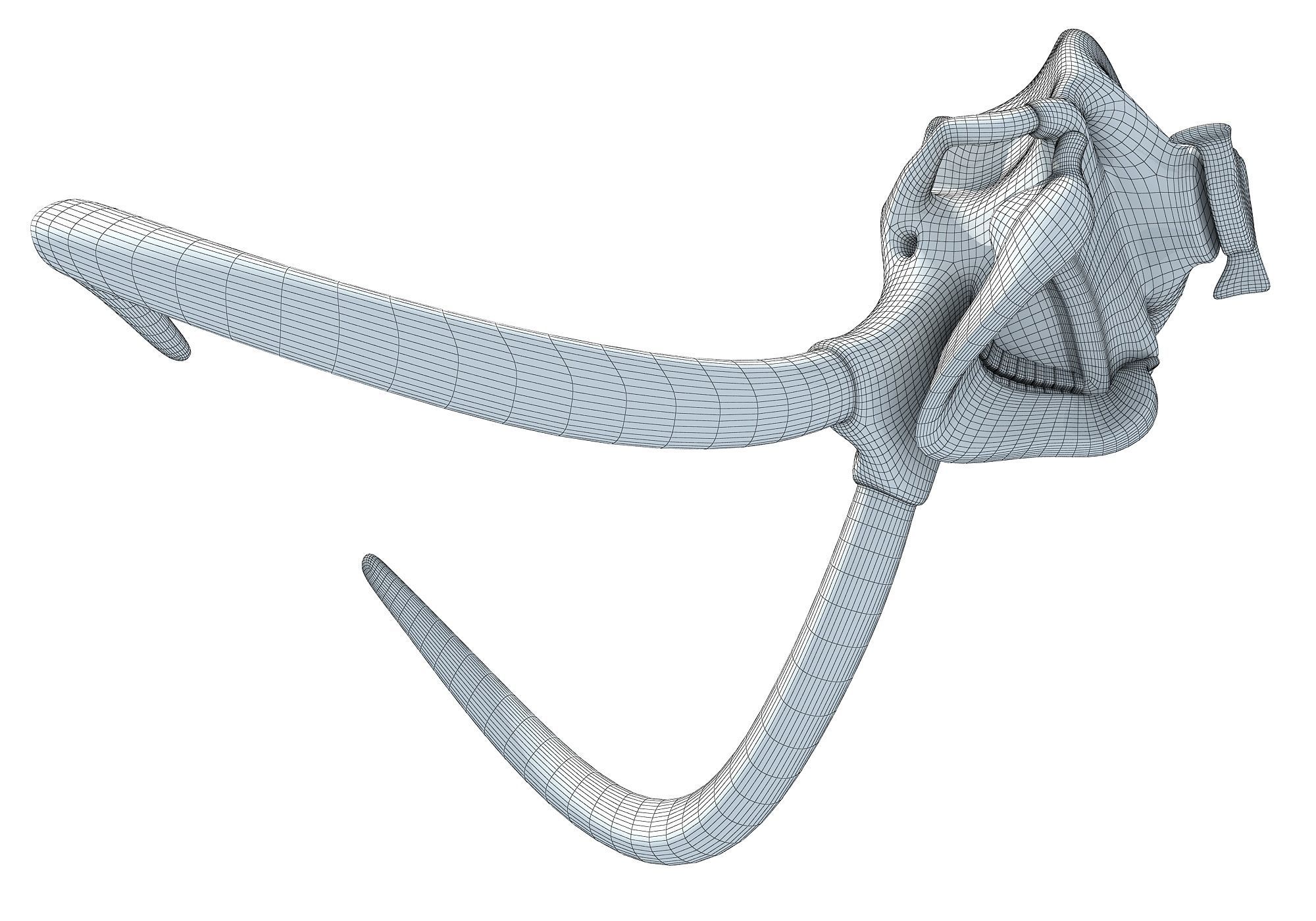 Woolly Mammoth Skull 3D model_13