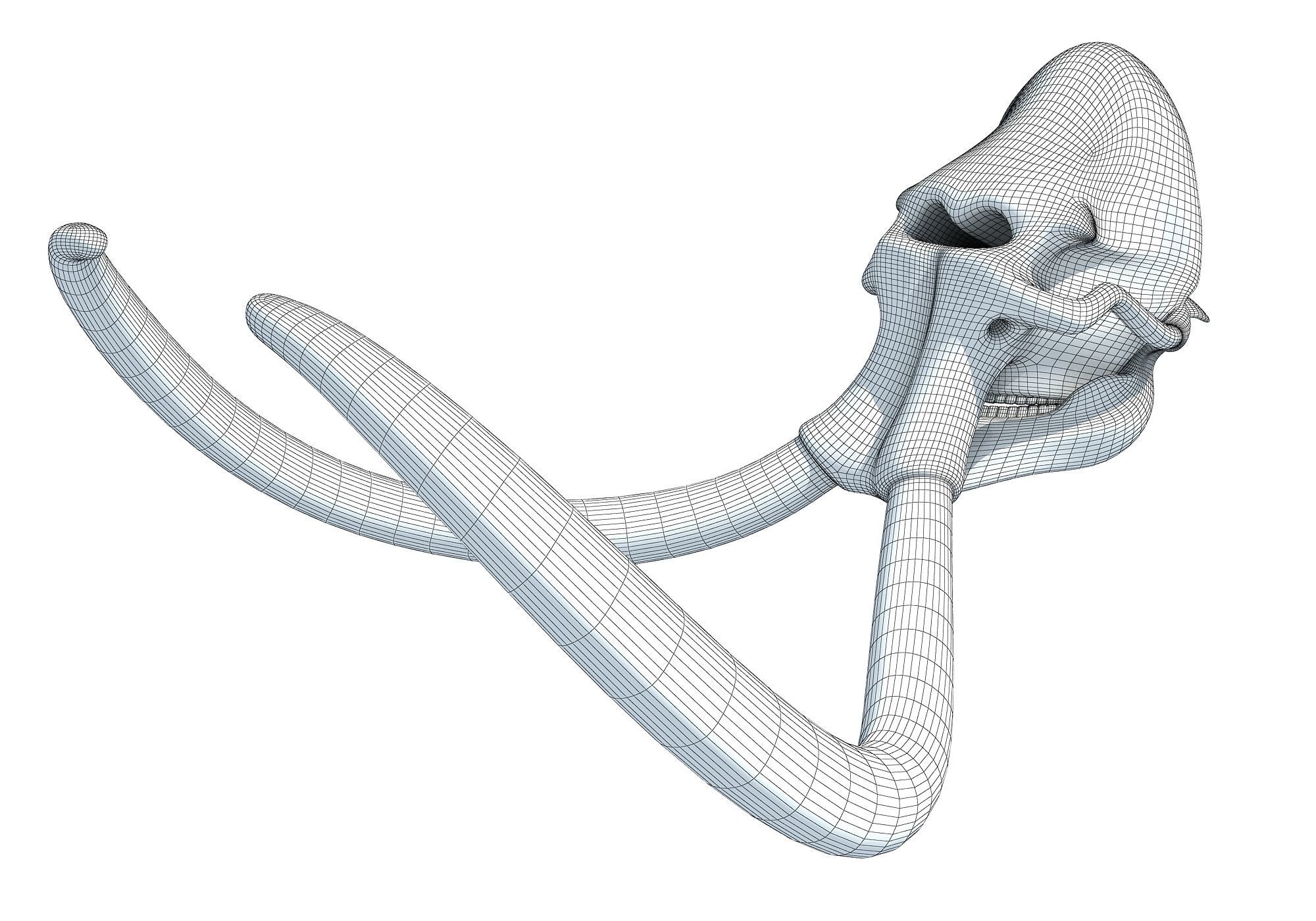 Woolly Mammoth Skull 3D model_11