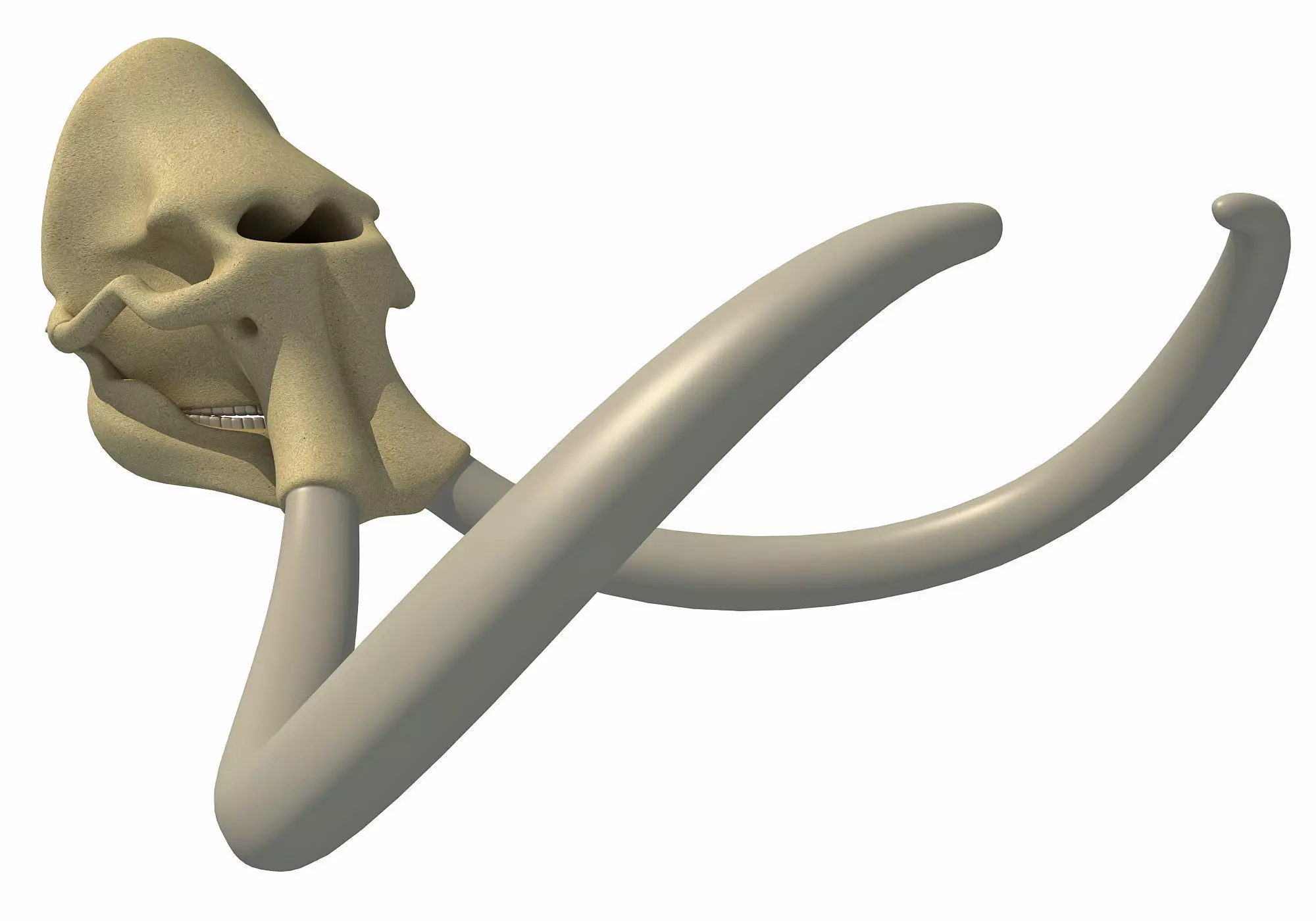 Woolly Mammoth Skull 3D model_0