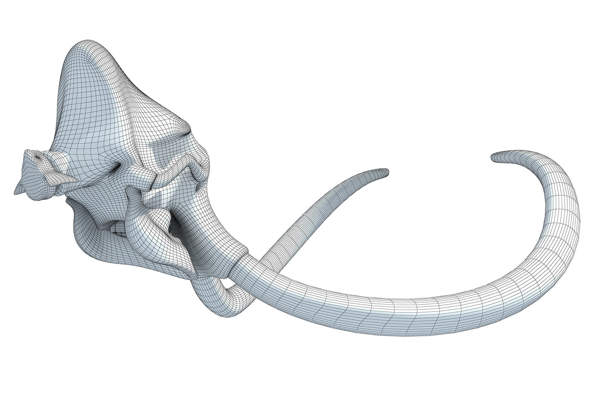 Woolly Mammoth Skull 3D model_12