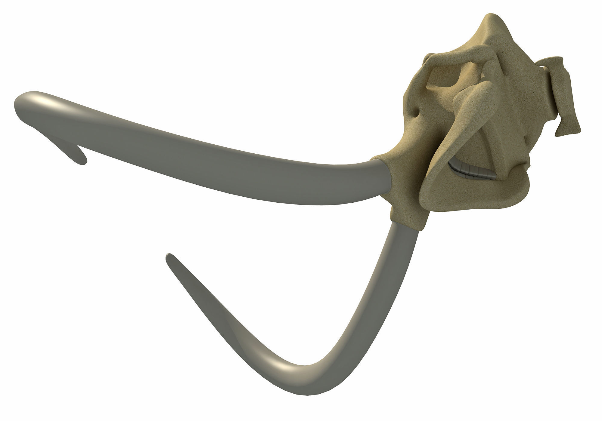 Woolly Mammoth Skull 3D model_9