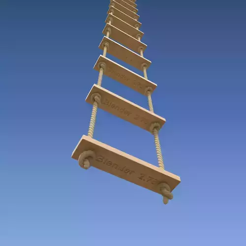 Rope Ladder 3D model