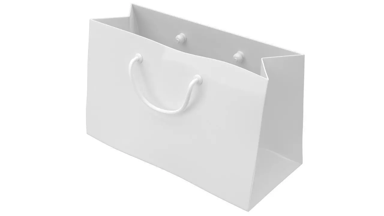 Paper Bag 1 3D model_0