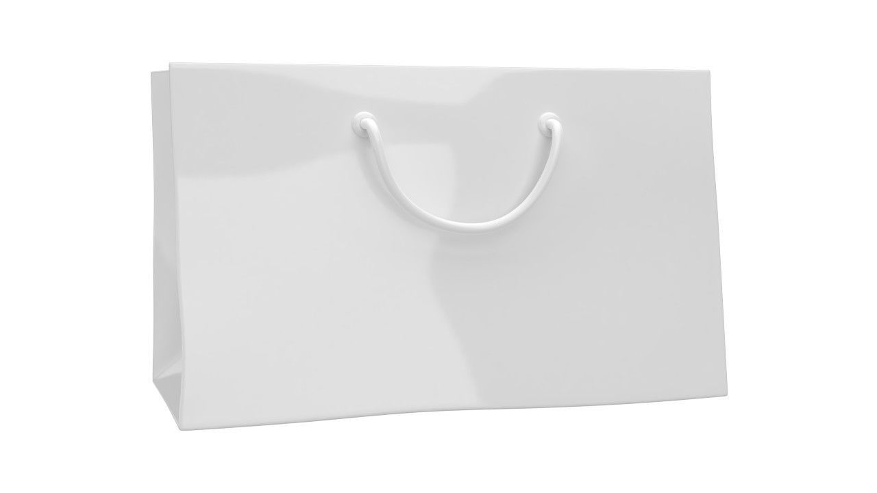 Paper Bag 1 3D model_3