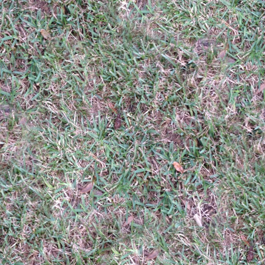 Ground Covers 1 Texture_2