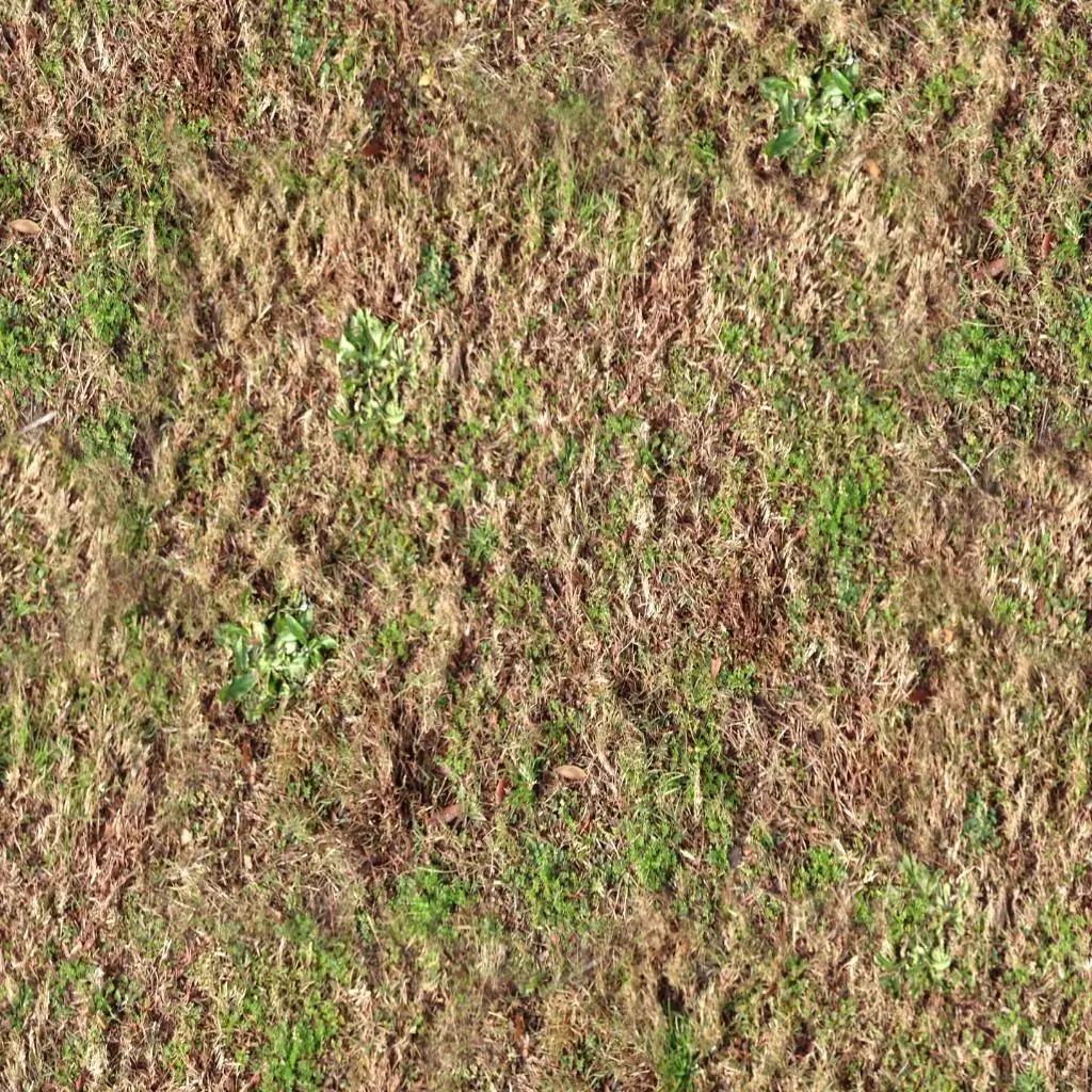 Ground Covers 1 Texture_0