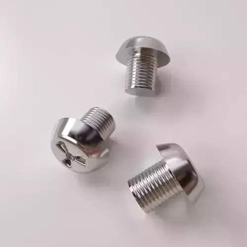 Screw pair of stainless steel screws