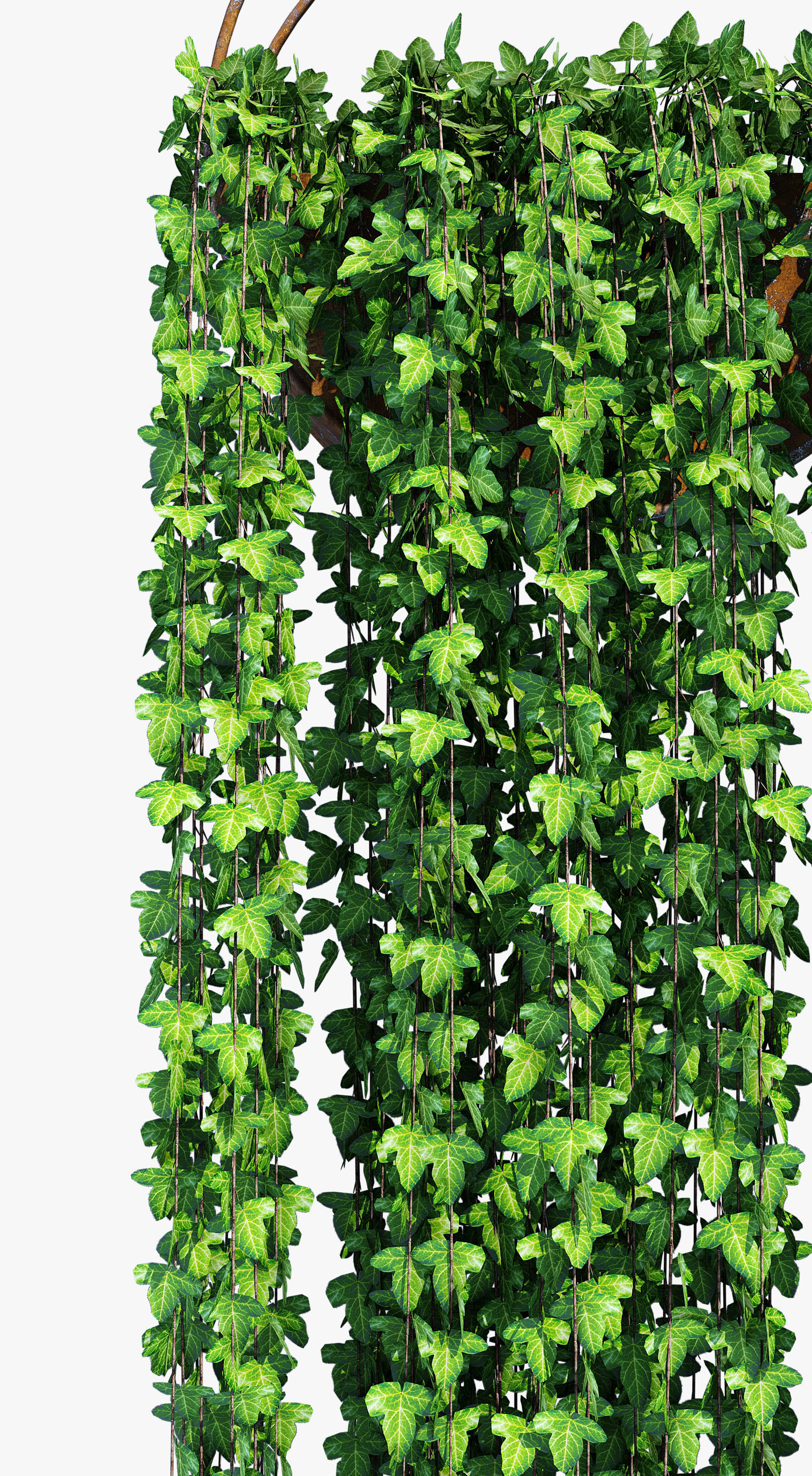 Circle shelves 2 3D model_4