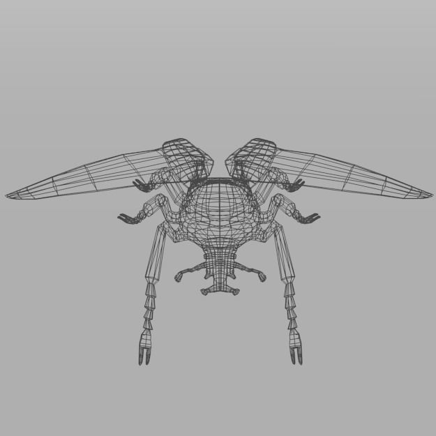 Beetle Goliath Low-poly 3D model_6