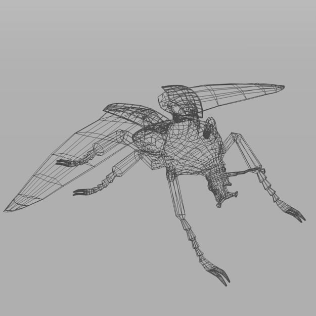 Beetle Goliath Low-poly 3D model_7