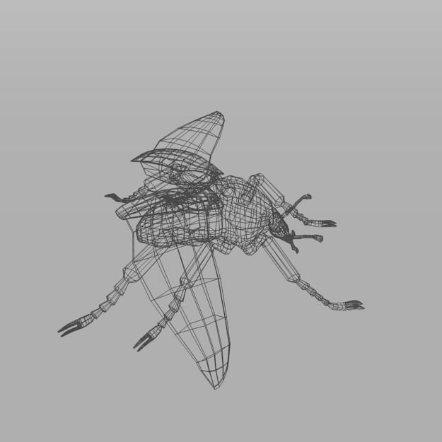 Beetle Goliath Low-poly 3D model_4