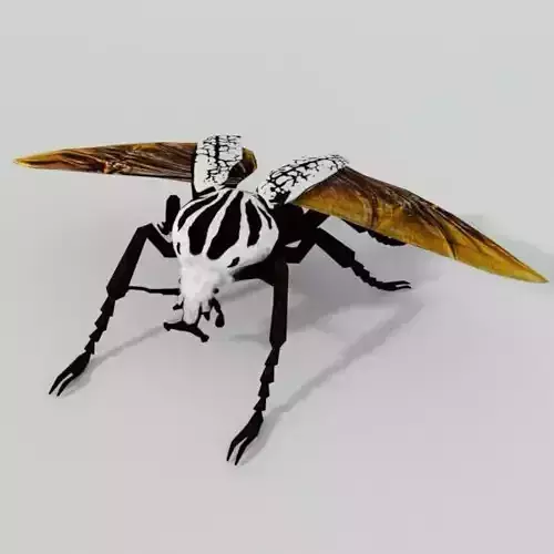 Beetle Goliath Low-poly 3D model