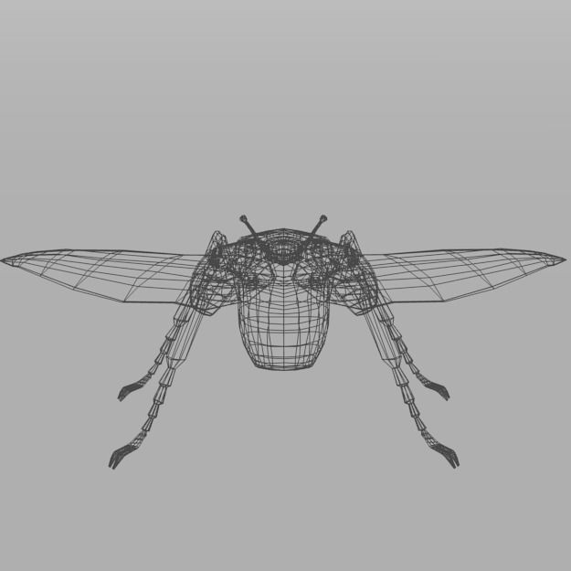 Beetle Goliath Low-poly 3D model_2