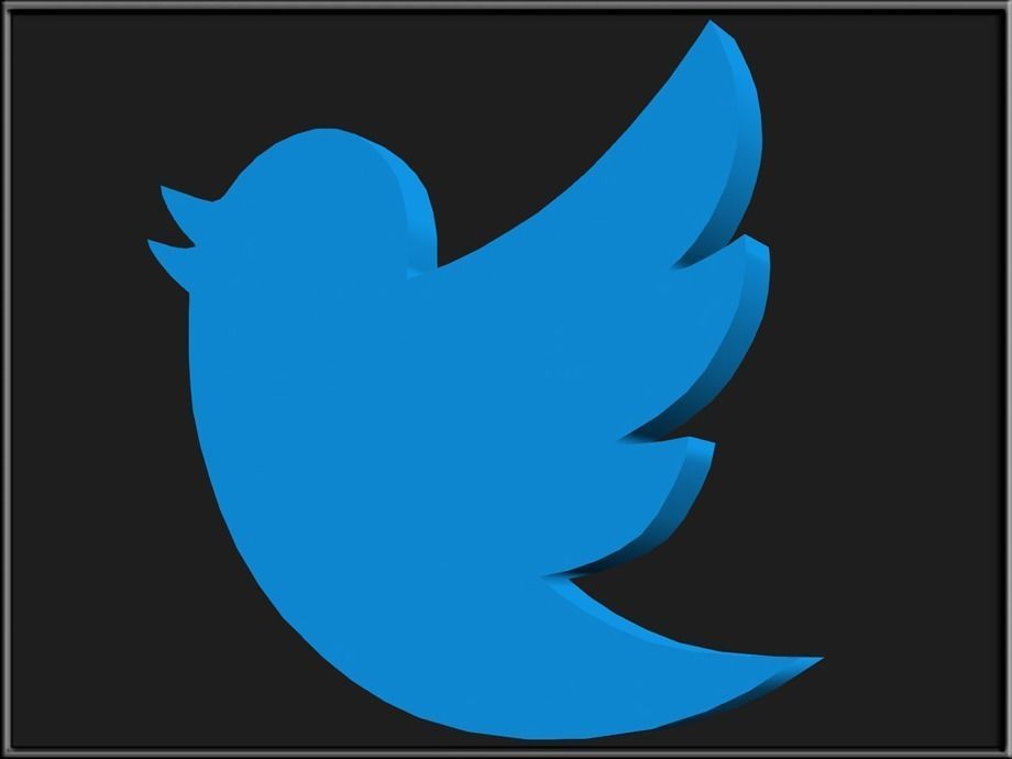 Twitter Bird Logo Low-poly 3D model_4
