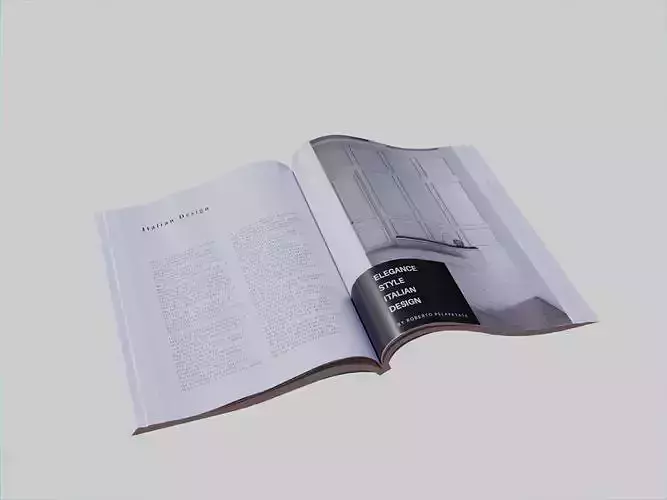 Open Magazine Lowpoly  Low-poly 3D model