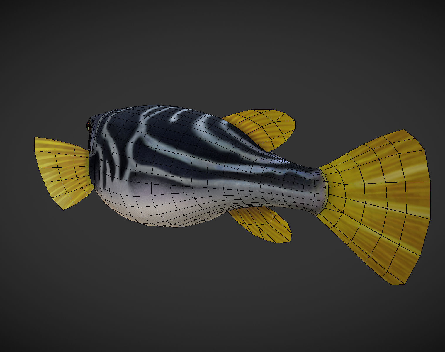 Puffer fish Low-poly 3D model_9