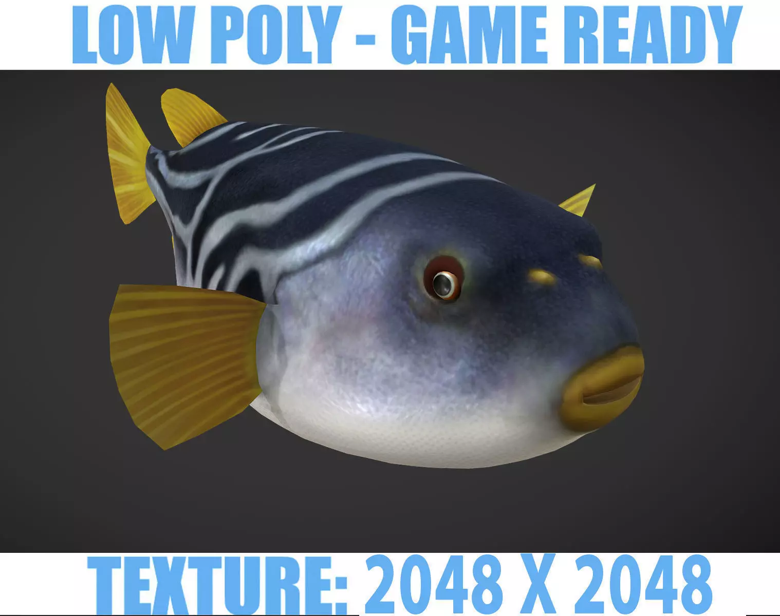 Puffer fish Low-poly 3D model_0