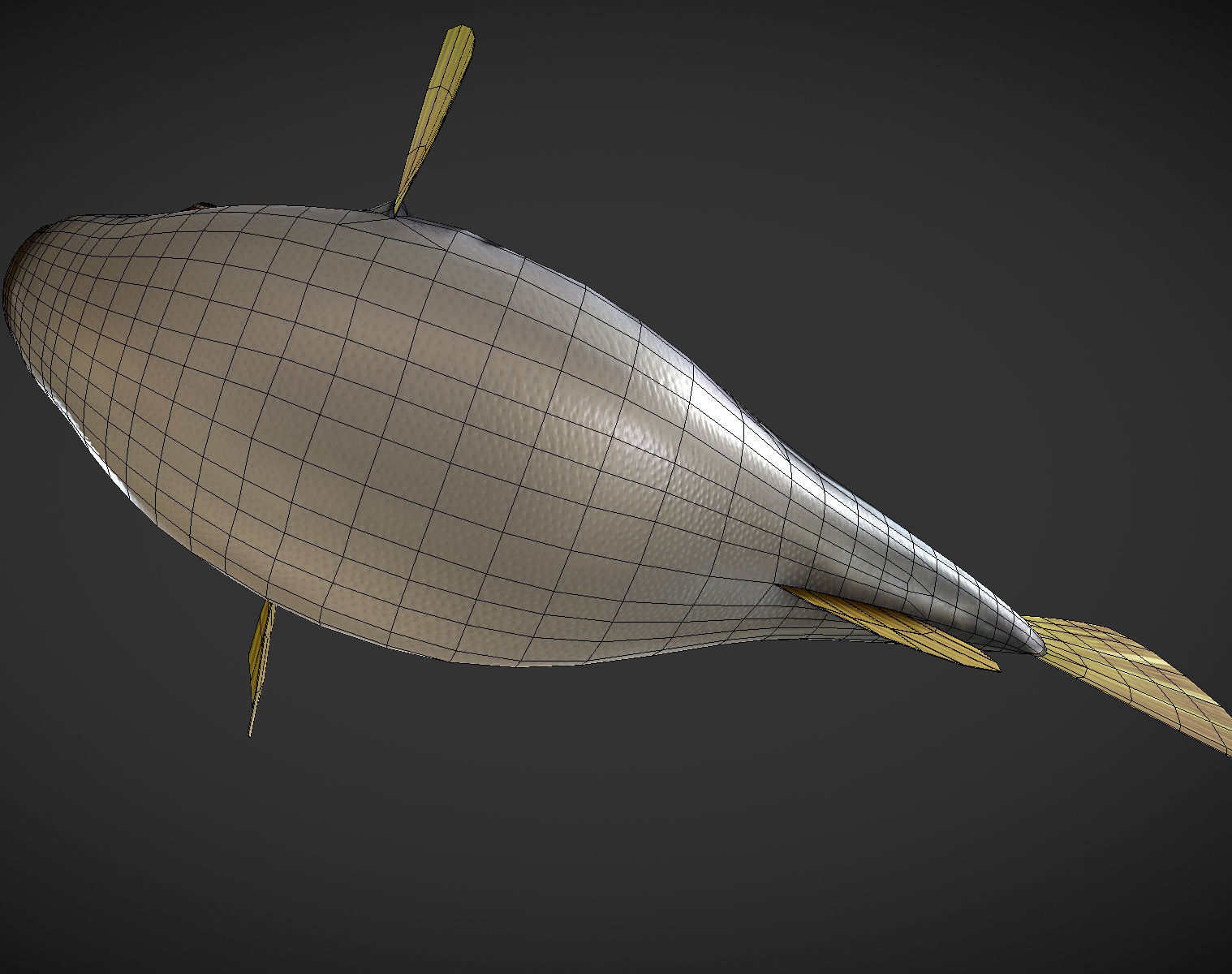 Puffer fish Low-poly 3D model_11