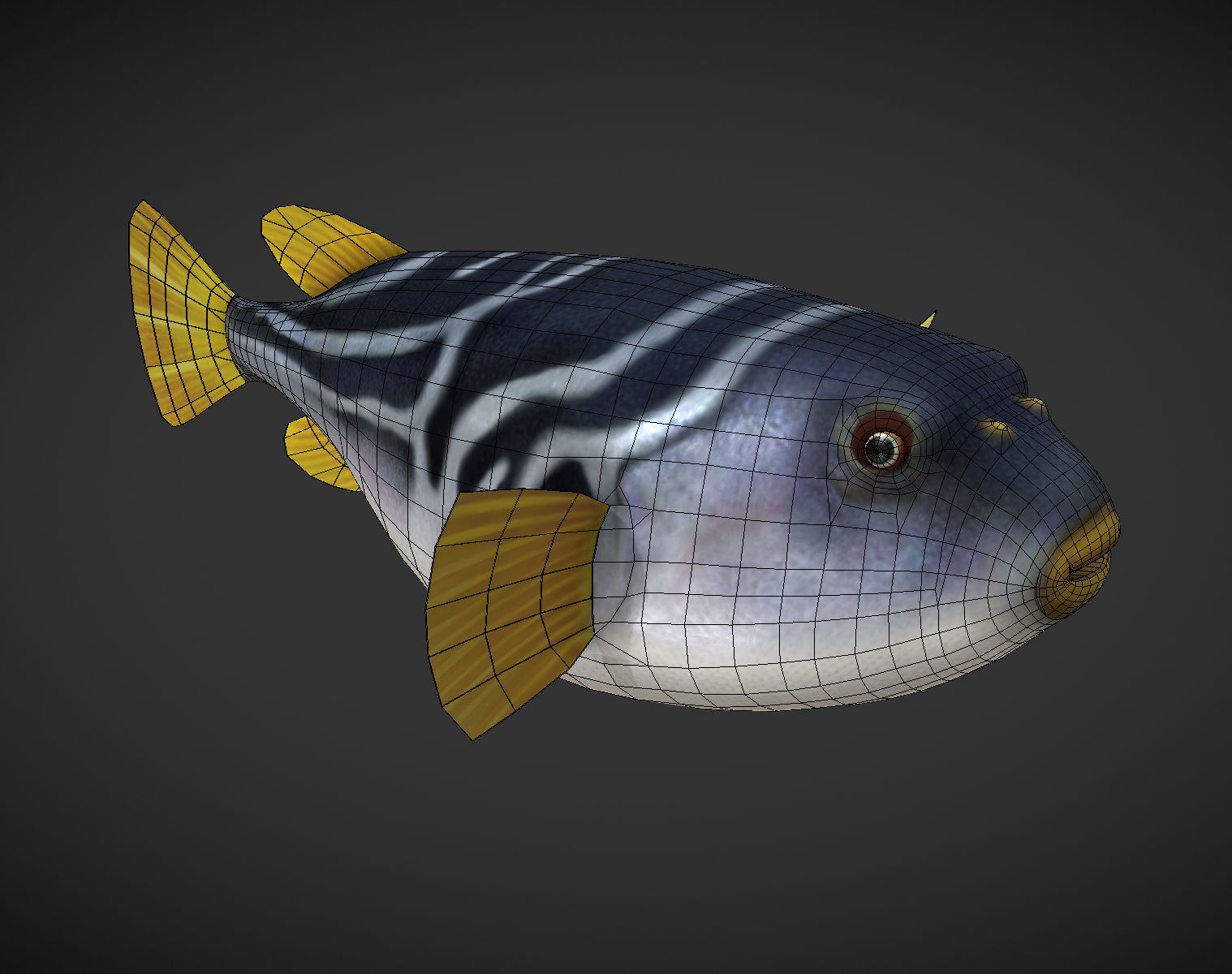 Puffer fish Low-poly 3D model_10