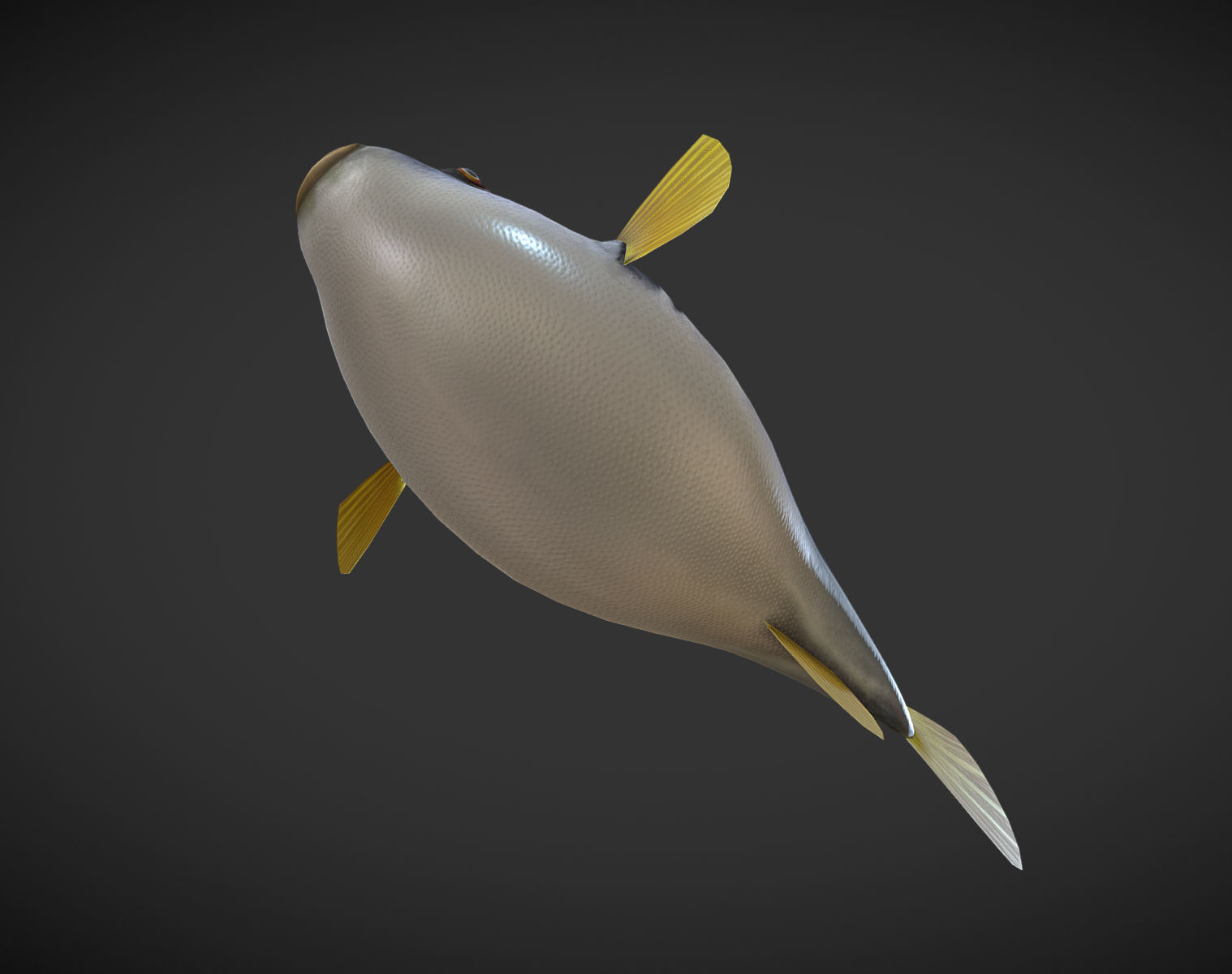 Puffer fish Low-poly 3D model_6