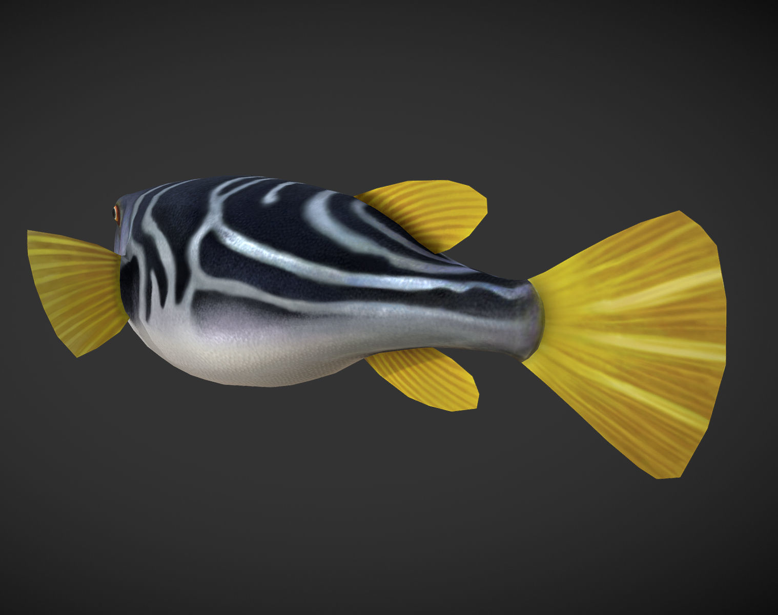 Puffer fish Low-poly 3D model_4