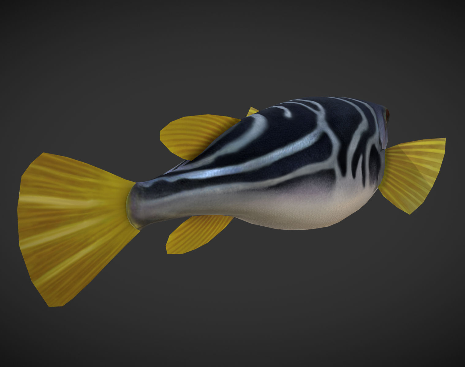 Puffer fish Low-poly 3D model_2