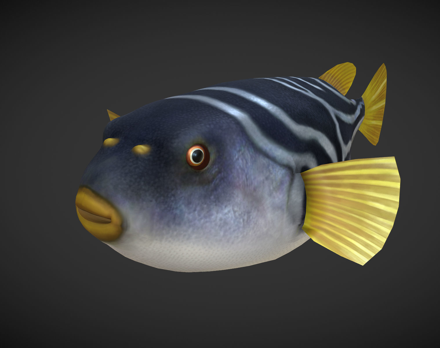 Puffer fish Low-poly 3D model_1