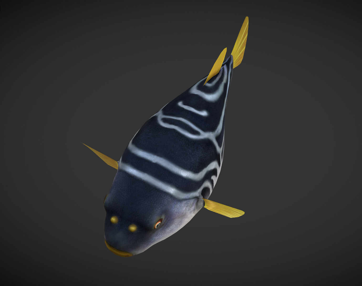 Puffer fish Low-poly 3D model_3