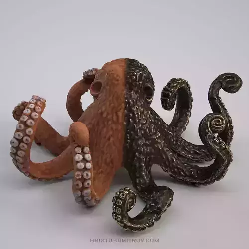 Octopus