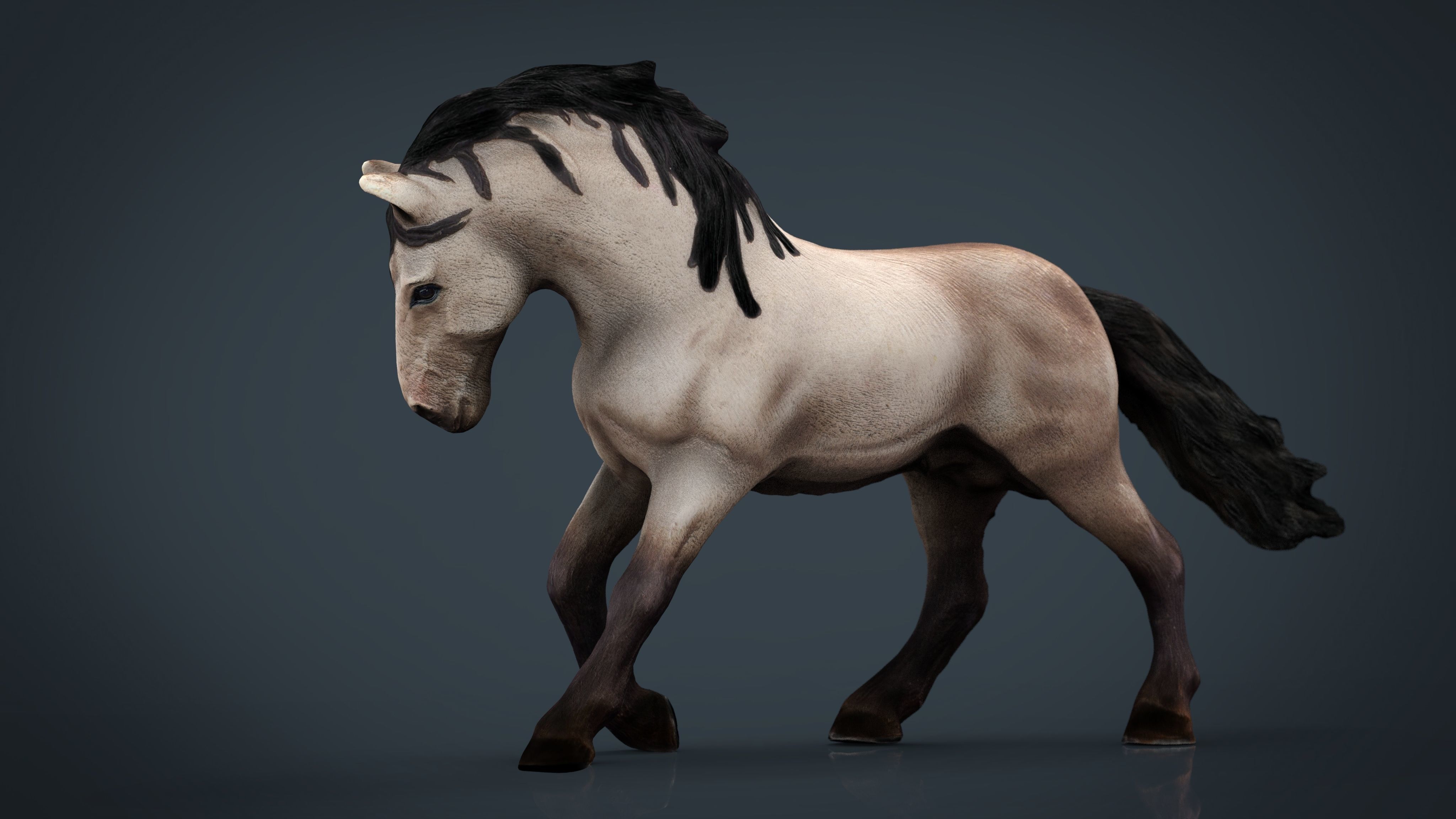 Horse 3 with mane 3D model_10