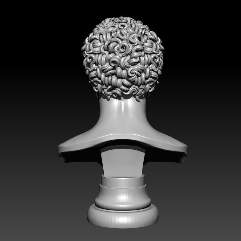 Commodus bust of man with curly hair 3D print model_1